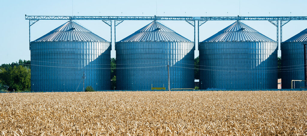 pulizia silos