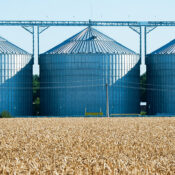 pulizia silos