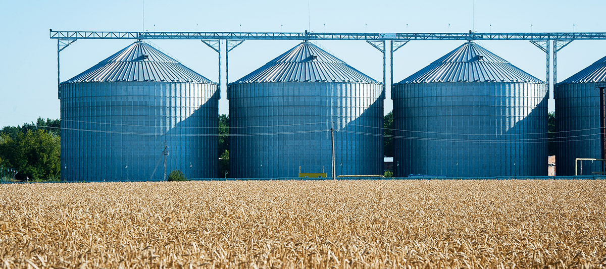 pulizia silos