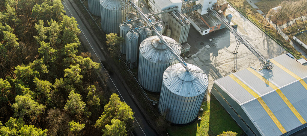 pulizia silos mangimi